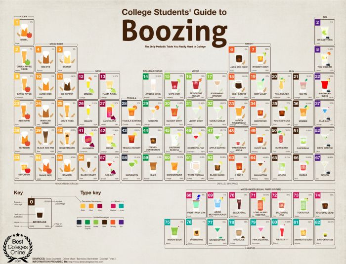 College Students` Guide to Boozing (7 pics)