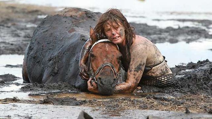 Rescuing a Horse Stuck in Mud (11 pics)