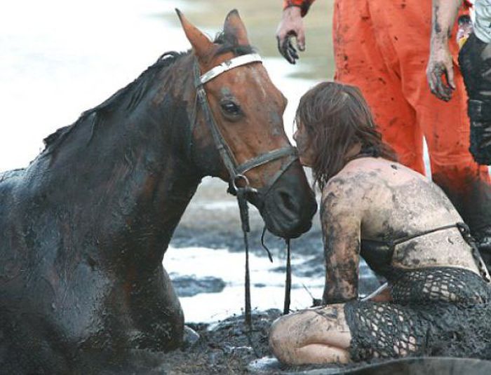 Rescuing a Horse Stuck in Mud (11 pics)