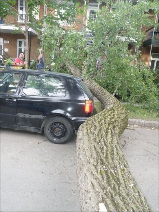 Lucky Car (3 pics)