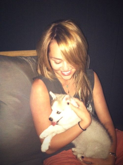 Miley Cyrus Twitpics (21 pics)