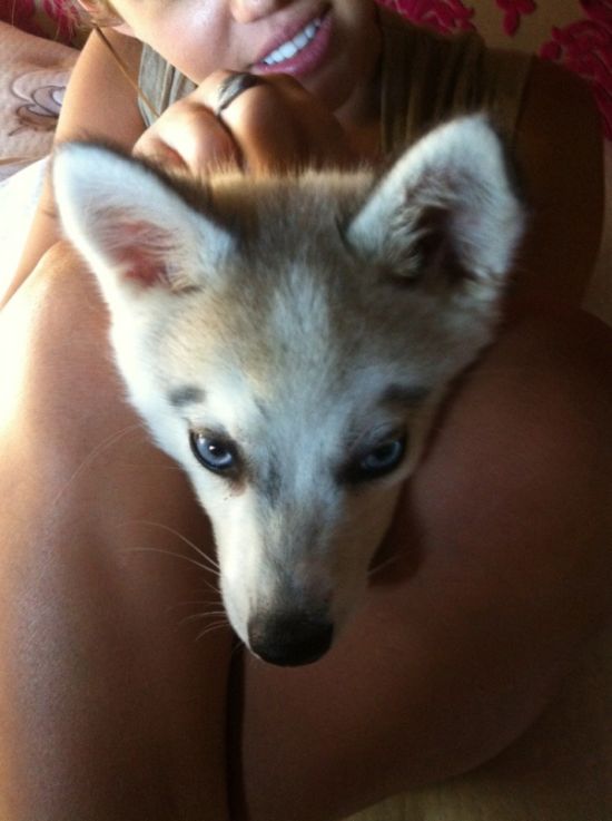 Miley Cyrus Twitpics (21 pics)