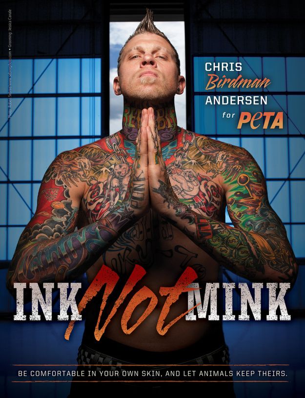 Ink, Not Mink (17 pics)