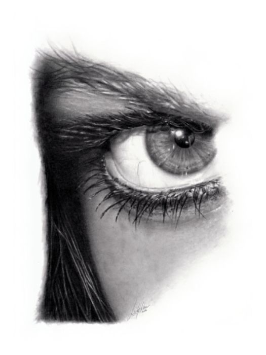 Pencil Drawings (47 pics)