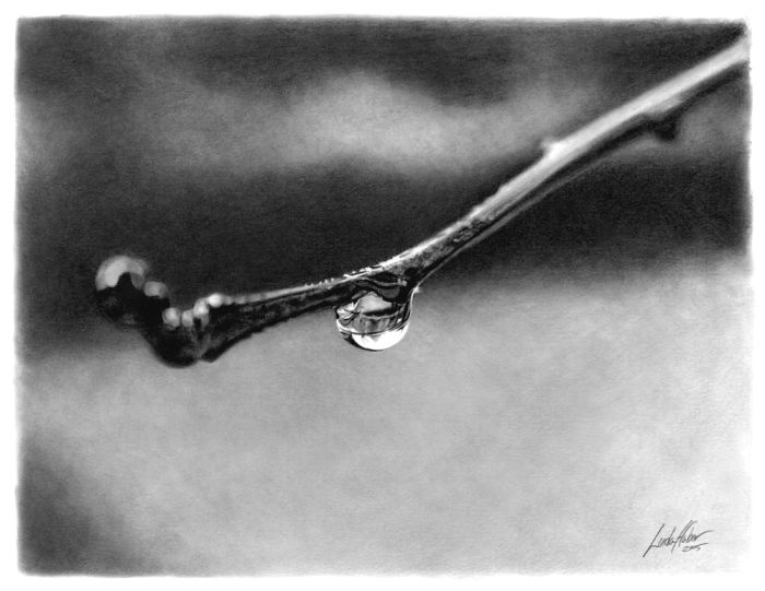 Pencil Drawings (47 pics)