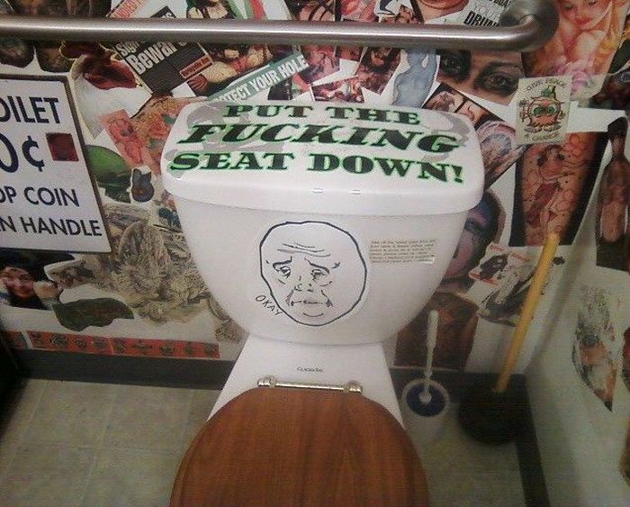 Put The Seat Down (2 pics)
