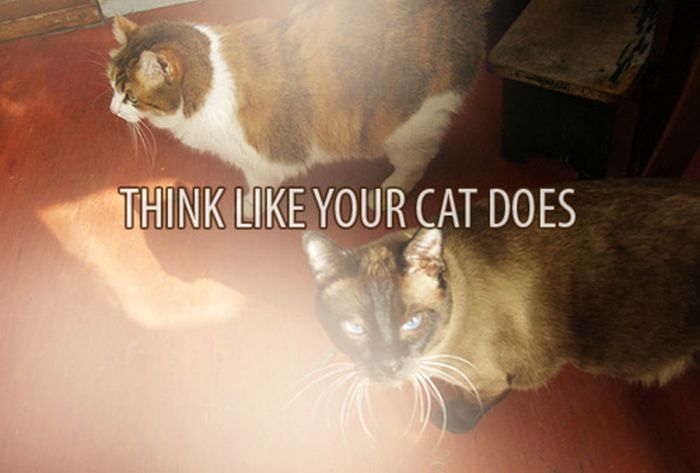 Love and Words (44 pics)
