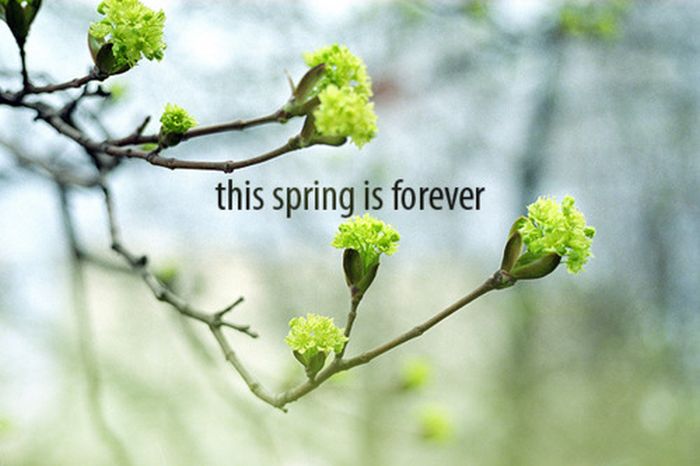 Love and Words (44 pics)