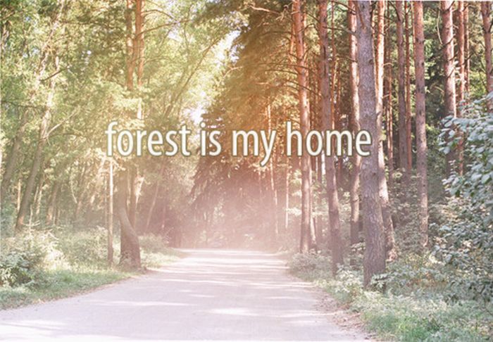 Love and Words (44 pics)