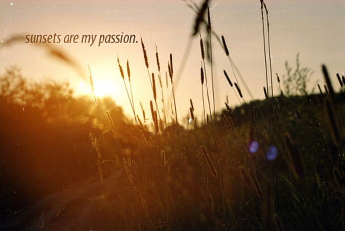 Love and Words (44 pics)