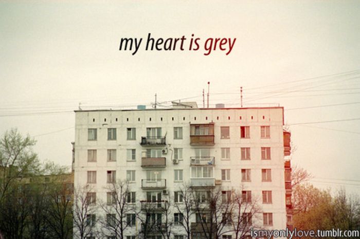 Love and Words (44 pics)