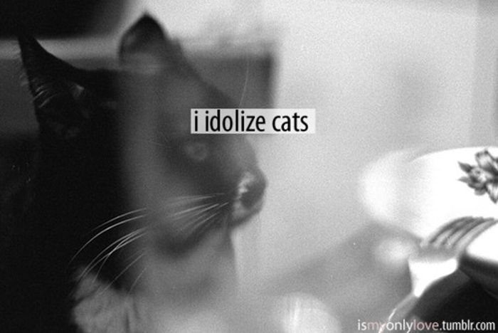 Love and Words (44 pics)