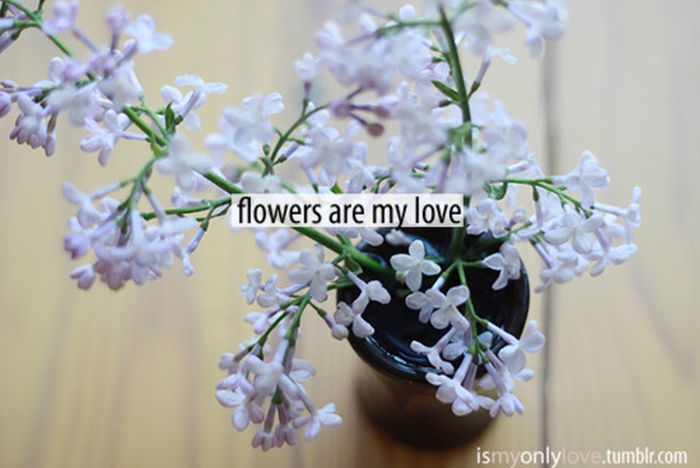 Love and Words (44 pics)