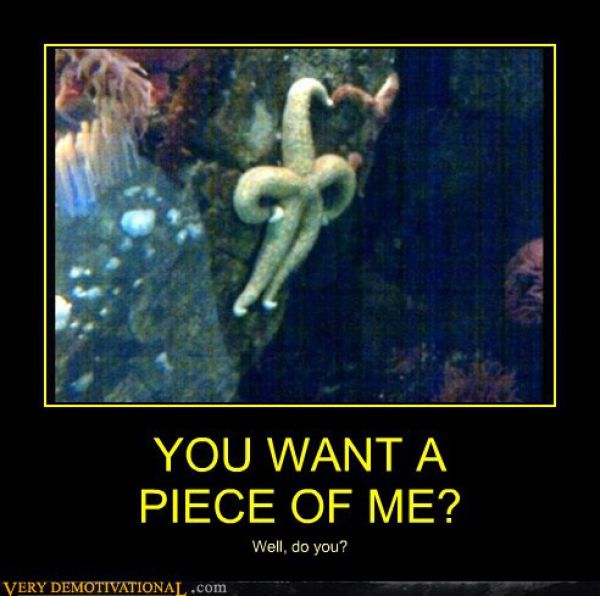 Funny Demotivational Posters (33 pics)