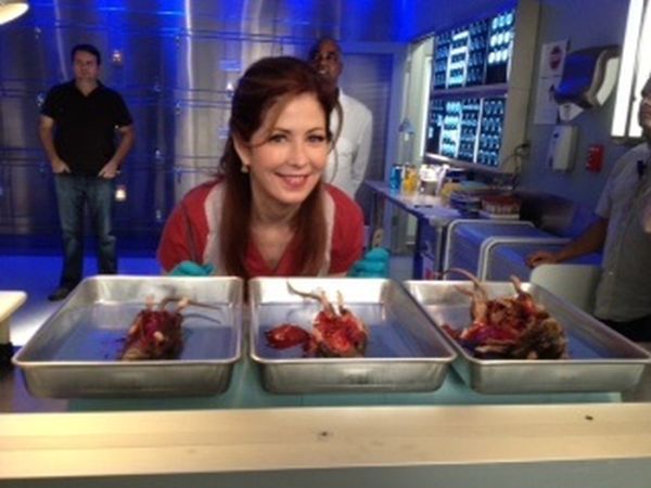 Dana Delany Twitpics (19 pics)