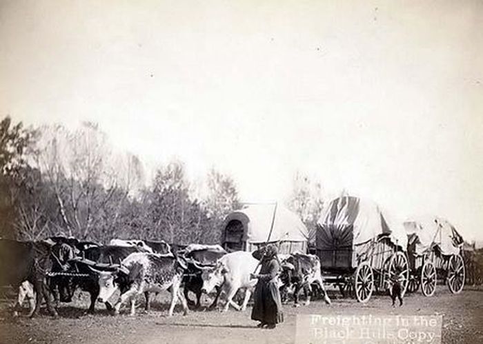 Photographs of the Old West (80 pics)