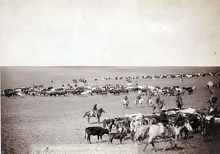 Photographs of the Old West (80 pics)