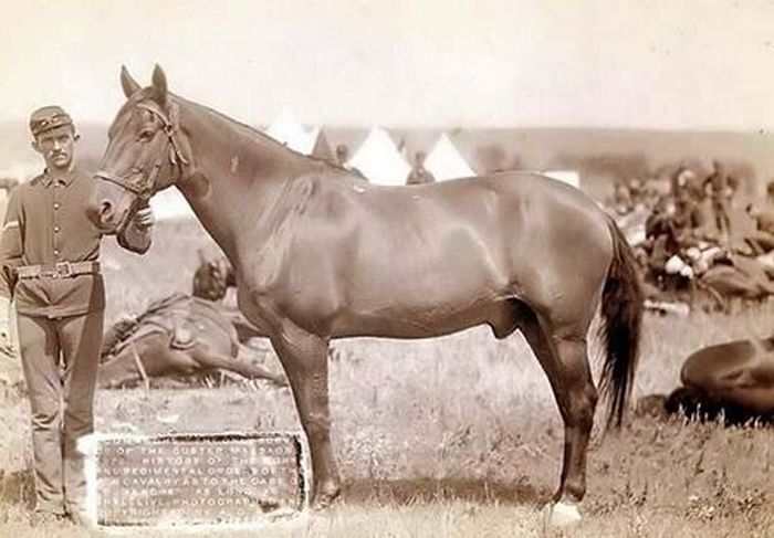 Photographs of the Old West (80 pics)