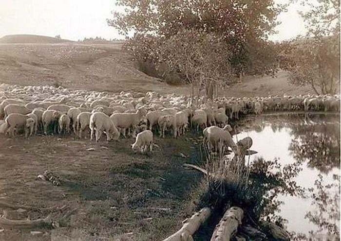 Photographs of the Old West (80 pics)