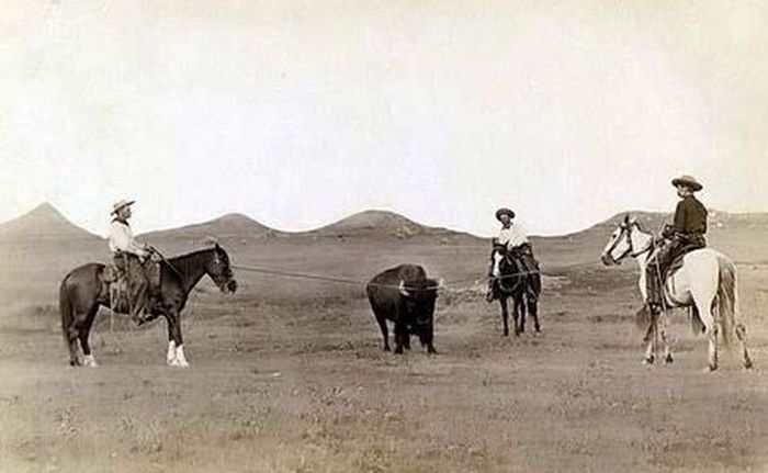 Photographs of the Old West (80 pics)