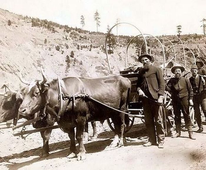 Photographs of the Old West (80 pics)