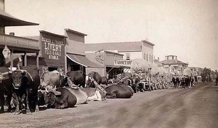 Photographs of the Old West (80 pics)