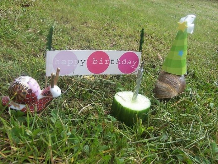 Animal Parties (31 pics)