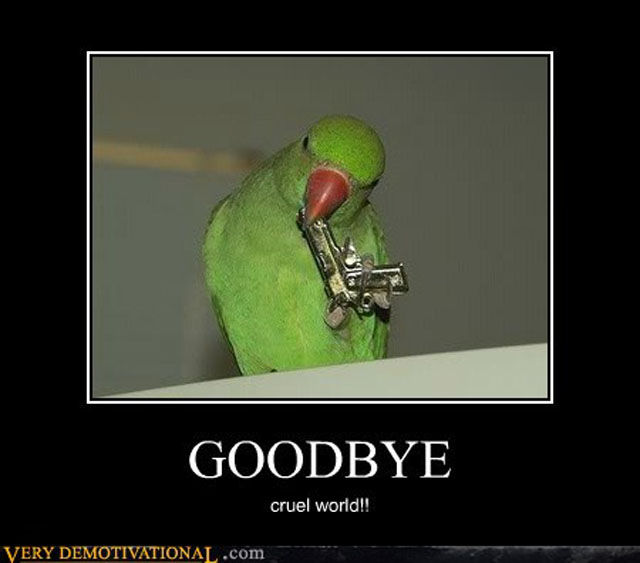Funny Demotivational Posters (32 pics)