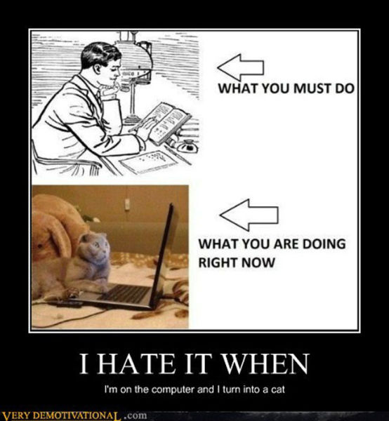 Funny Demotivational Posters (32 pics)