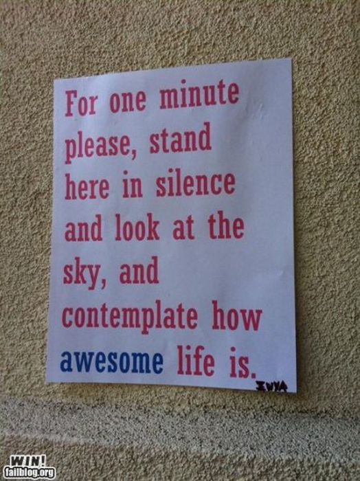 Epic Win Photo (88 pics)