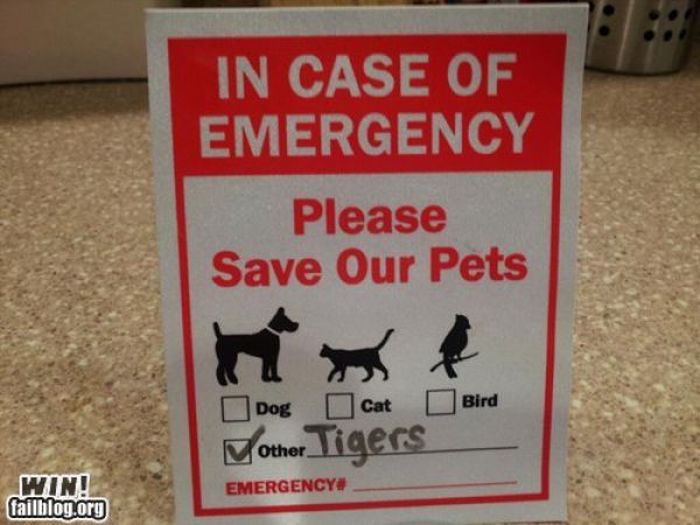 Epic Win Photo (88 pics)