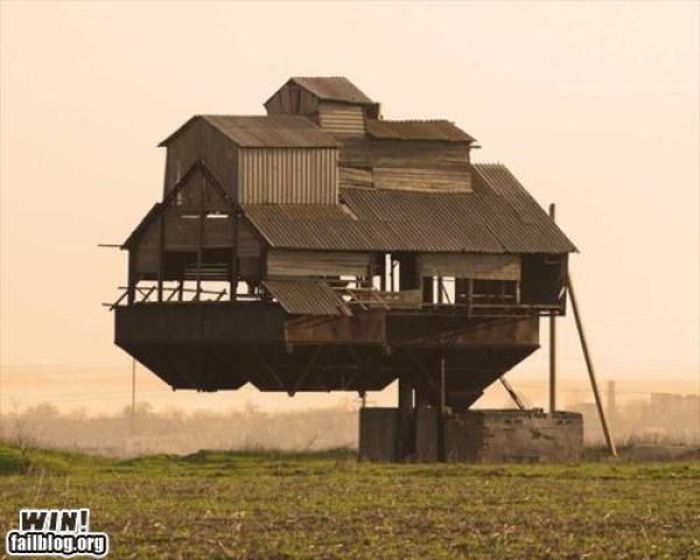 Epic Win Photo (88 pics)
