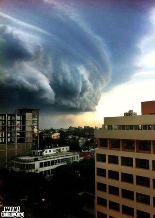 Epic Win Photo (88 pics)