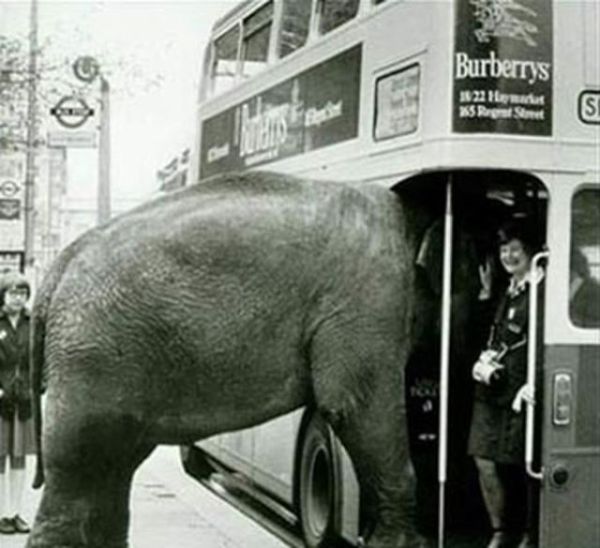 What Happens in Bus Stays in Bus (24 pics)