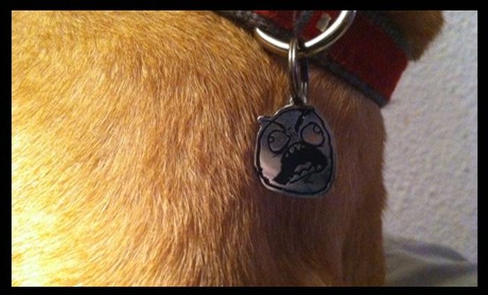 Rage Faces Dog Tags (5 pics)