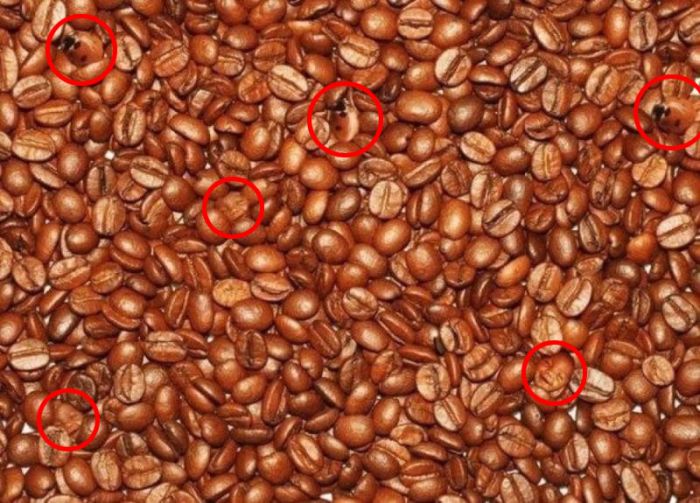 Find the Hidden Objests (2 pics)