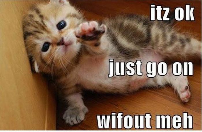 Go Without Me Pictures (16 pics)