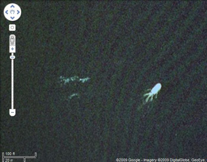 Interesting Images Found on Google Maps (22 pics)
