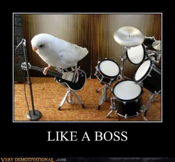 Funny Demotivational Posters (32 pics)