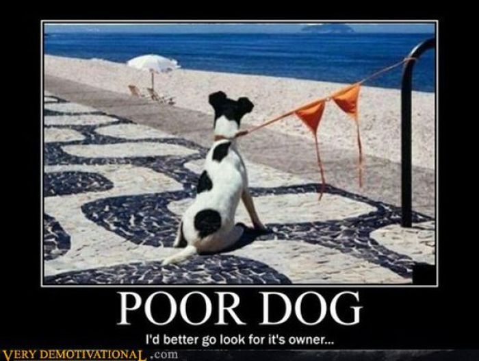 Funny Demotivational Posters (32 pics)