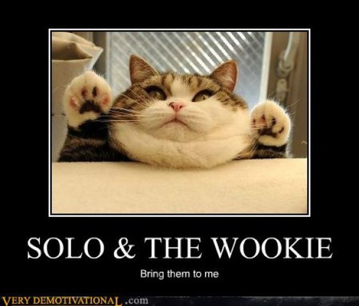 Funny Demotivational Posters (32 pics)