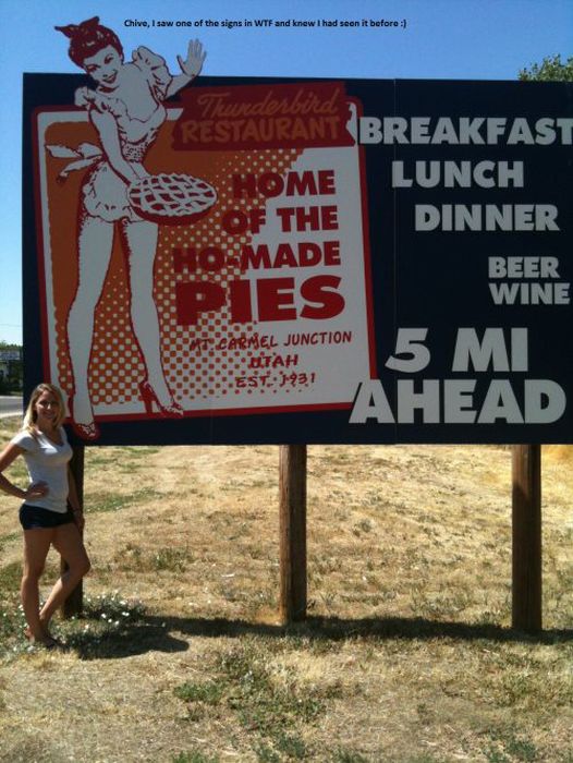 WTF Signs. Part 19 (30 pics)