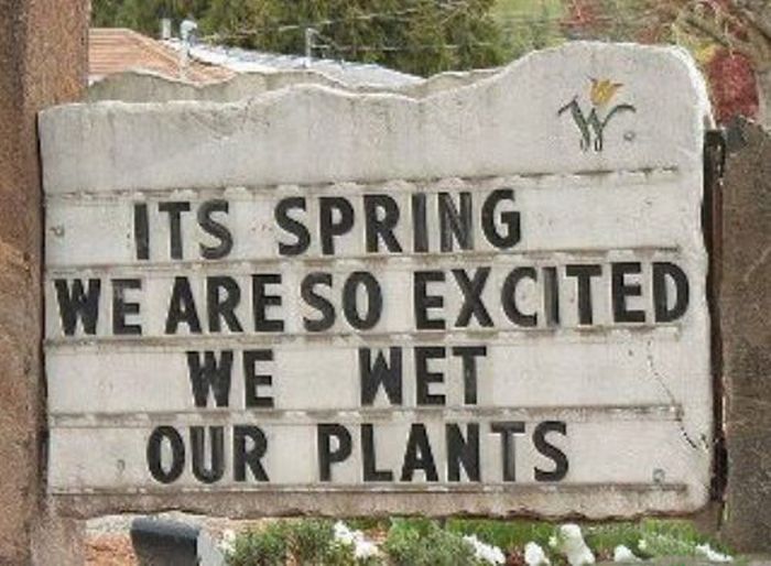 WTF Signs. Part 19 (30 pics)