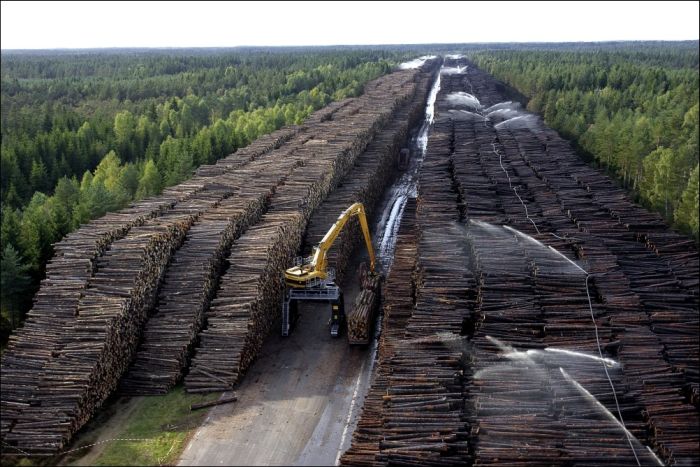 Byholma - World's Largest Timber Storage (6 pics)