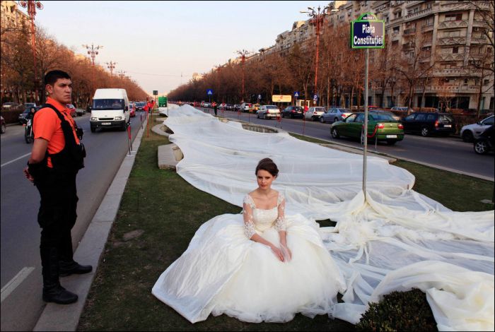 Longest Wedding Dress Train (4 pics)