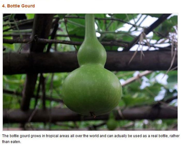 Strange Fruits & Vegetables (12 pics)