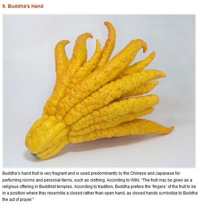 Strange Fruits & Vegetables (12 pics)