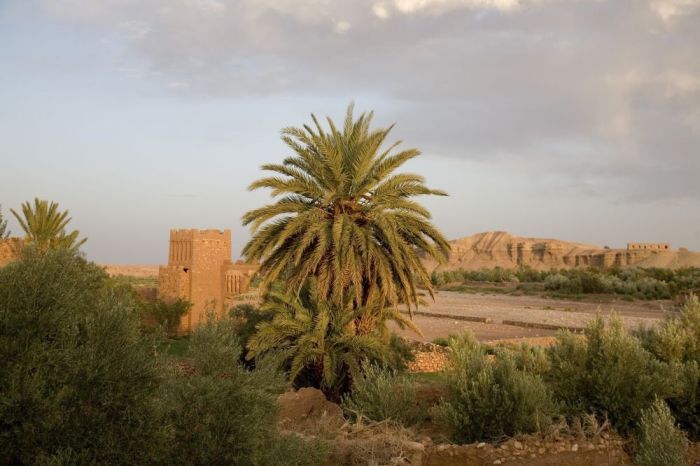 Ksar of Ait-Ben-Haddou (25 pics)