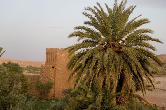 Ksar of Ait-Ben-Haddou (25 pics)