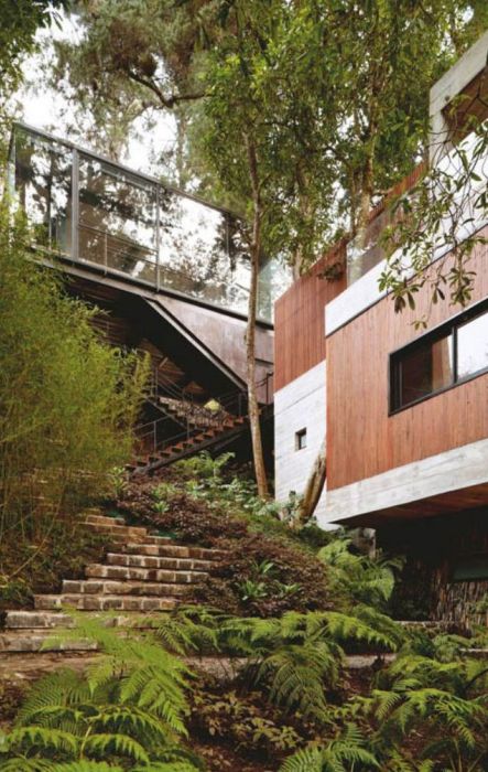 Amazing Treehouse (24 pics)